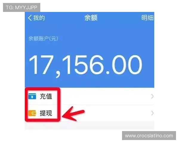 利记官网支付方式多样化支持多平台快速充值与提现