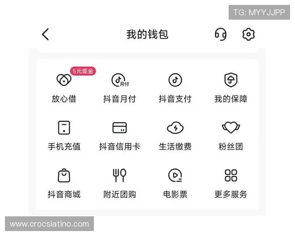滚球娱乐官网支付方式多样化支持多平台快速便捷充值提现